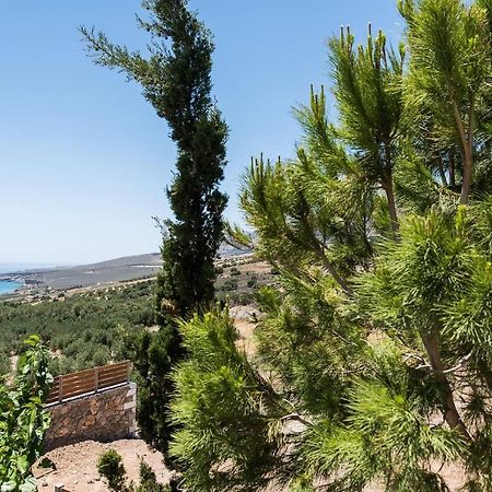 Villa Olvia Sfakia Esterno foto