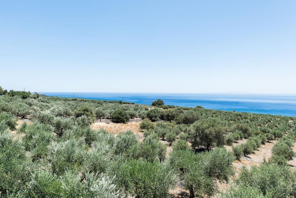 Villa Olvia Sfakia Esterno foto